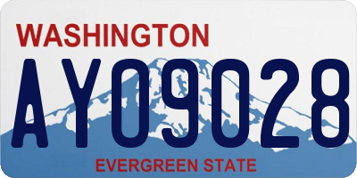 WA license plate AYO9028