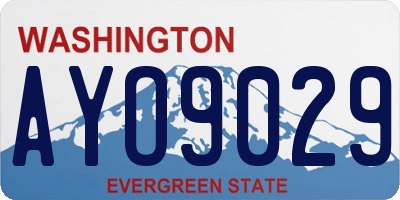 WA license plate AYO9029
