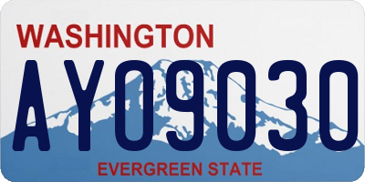 WA license plate AYO9030