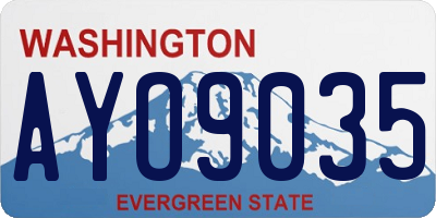 WA license plate AYO9035