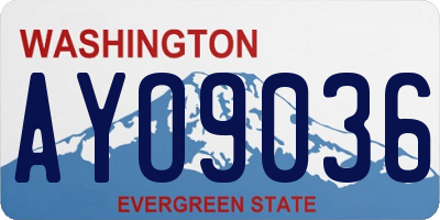 WA license plate AYO9036
