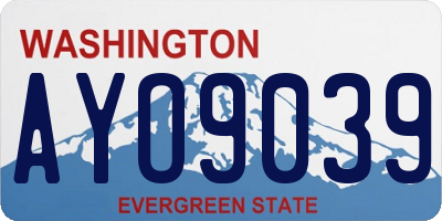 WA license plate AYO9039