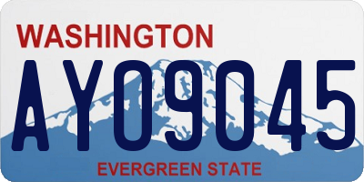 WA license plate AYO9045
