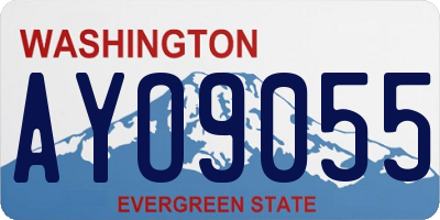 WA license plate AYO9055