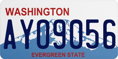 WA license plate AYO9056