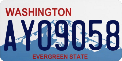 WA license plate AYO9058