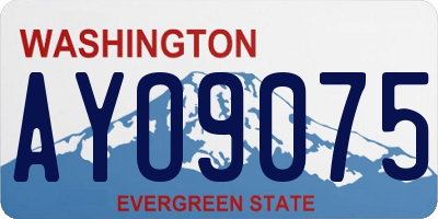 WA license plate AYO9075