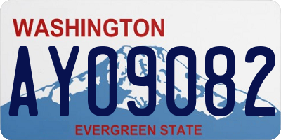 WA license plate AYO9082