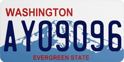 WA license plate AYO9096