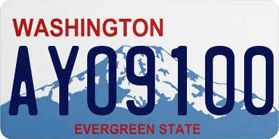 WA license plate AYO9100