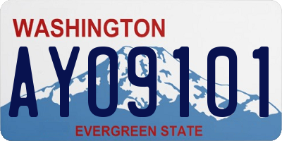 WA license plate AYO9101