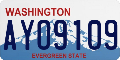 WA license plate AYO9109