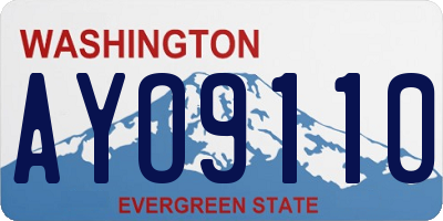 WA license plate AYO9110