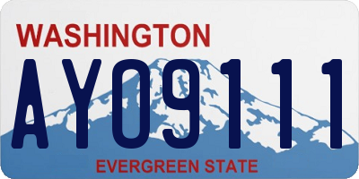 WA license plate AYO9111