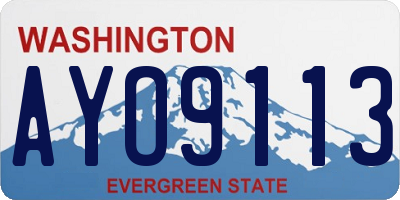 WA license plate AYO9113