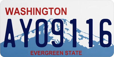 WA license plate AYO9116