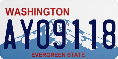 WA license plate AYO9118