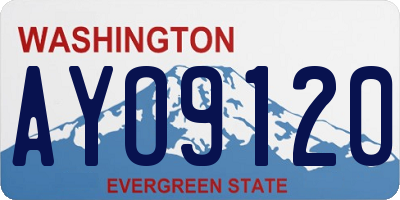 WA license plate AYO9120