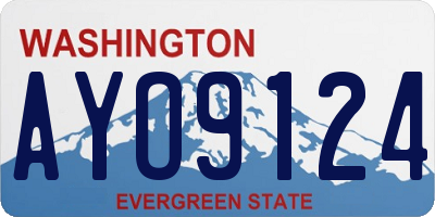 WA license plate AYO9124