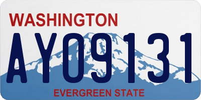 WA license plate AYO9131