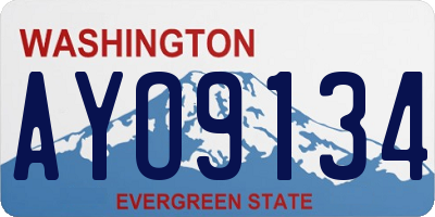WA license plate AYO9134