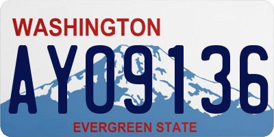 WA license plate AYO9136