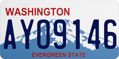 WA license plate AYO9146