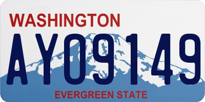 WA license plate AYO9149