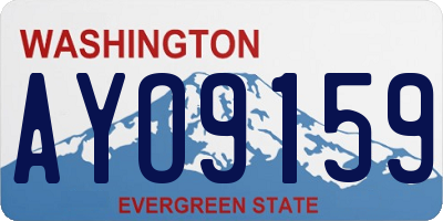 WA license plate AYO9159