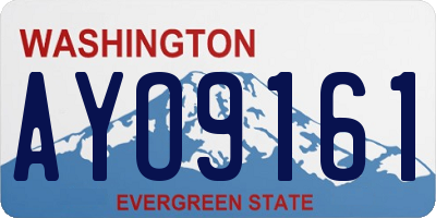 WA license plate AYO9161