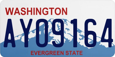 WA license plate AYO9164