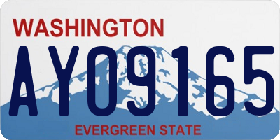WA license plate AYO9165