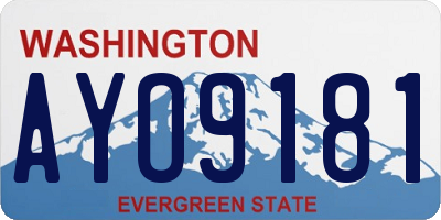 WA license plate AYO9181