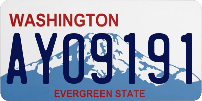 WA license plate AYO9191