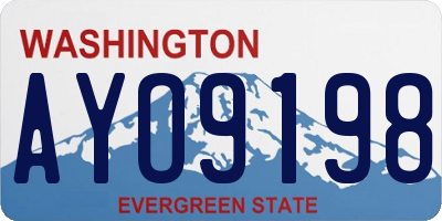 WA license plate AYO9198