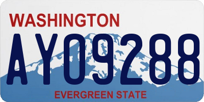 WA license plate AYO9288