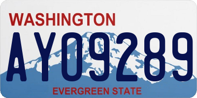 WA license plate AYO9289