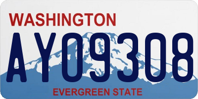 WA license plate AYO9308