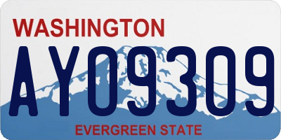 WA license plate AYO9309