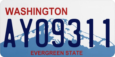 WA license plate AYO9311