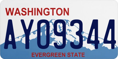 WA license plate AYO9344
