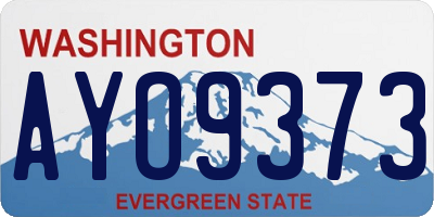WA license plate AYO9373