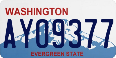 WA license plate AYO9377