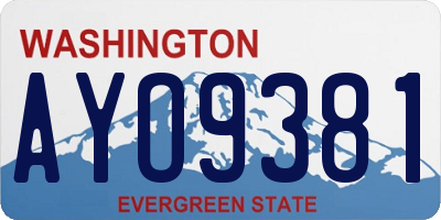 WA license plate AYO9381
