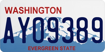WA license plate AYO9389