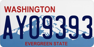 WA license plate AYO9393