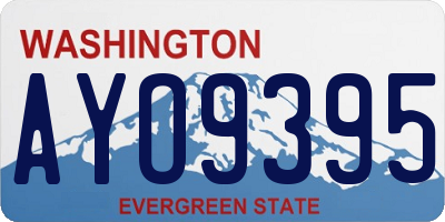 WA license plate AYO9395