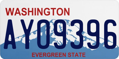 WA license plate AYO9396