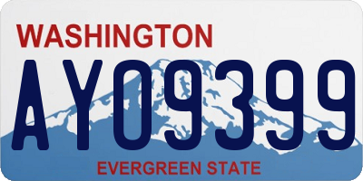 WA license plate AYO9399