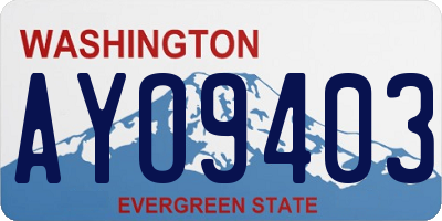 WA license plate AYO9403
